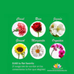 TEST DE LAS FLORES