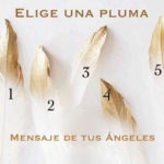 ELIGE  UNA PLUMA