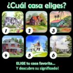 EL TEST DE LAS CASAS