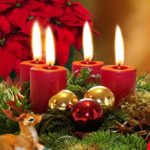 LA FLOR DE NOCHEBUENA