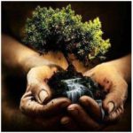 EL AMOR ES EL ÁRBOL DE LA VIDA INTERIOR