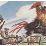 LA FÁBULA DEL GALLO JOVEN Y EL GALLO VIEJO