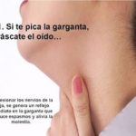 CURIOSIDADES DE NUESTRO CUERPO