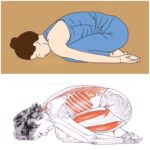 BALĀSANA, postura del niño