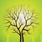 RELACIÓN ENTRE LA ENFERMEDAD Y LOS SECRETOS FAMILIARES