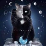 EL GATO TIENE MINERALES EN LA CADENA DE SANGRE QUE LO HACE REIKISTA NATURAL