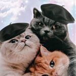 LA FUNCIÓN DE LOS GATOS EN LA ASCENSIÓN 