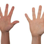 ¿ Que dicen los dedos de la mano?
