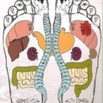 NUESTRO CUERPO (ALGO QUE DEBEMOS SABER)