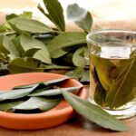 Hojas de laurel y sus beneficios