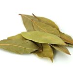 LA HOJA DE LAUREL