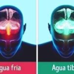 TOMAR AGUA TIBIA