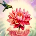 COLIBRÍ