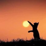 Oración de la mañana