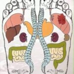 Algo que debes saber sobre tu cuerpo