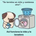 Somos libres
