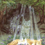 ¿A dónde va el Alma de los gatos y otros animales cuando mueren?