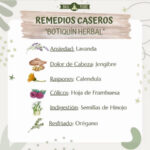 Botiquín herbal